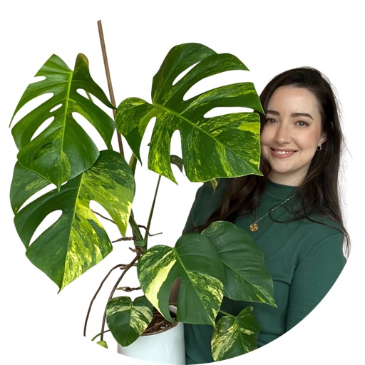 plantsbymelissa on LTK