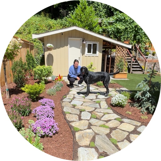 SustainableTextures on LTK