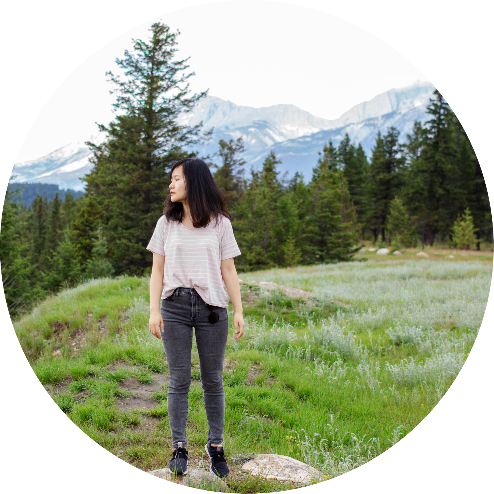 LivingPetite on LTK