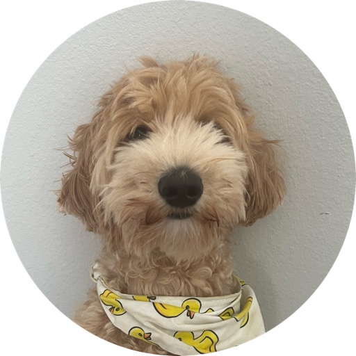 DerekDennison on LTK