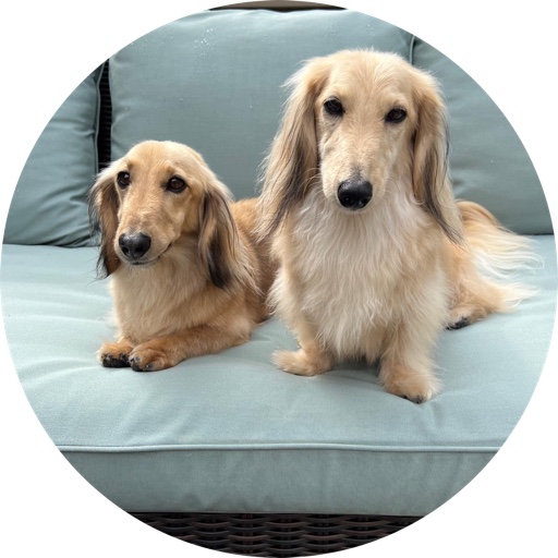 Covington_style on LTK