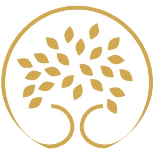 Organized Life Design on LTK