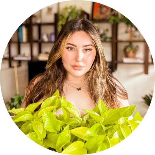 susannezirkiev on LTK