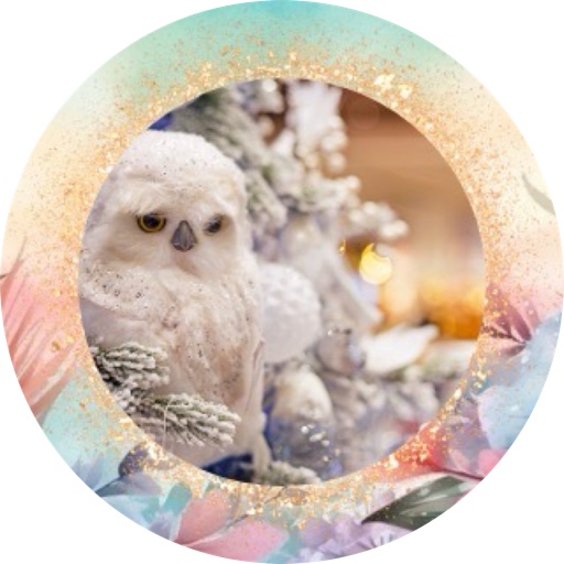 WhimsyWishlist on LTK