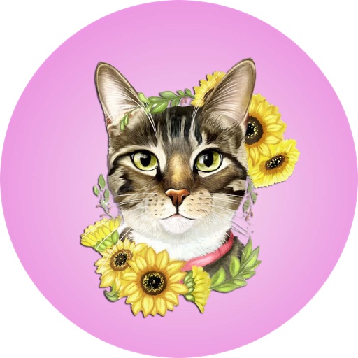 purrfectchanel on LTK