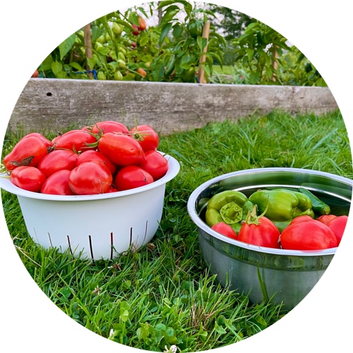 BlueWaterHome on LTK