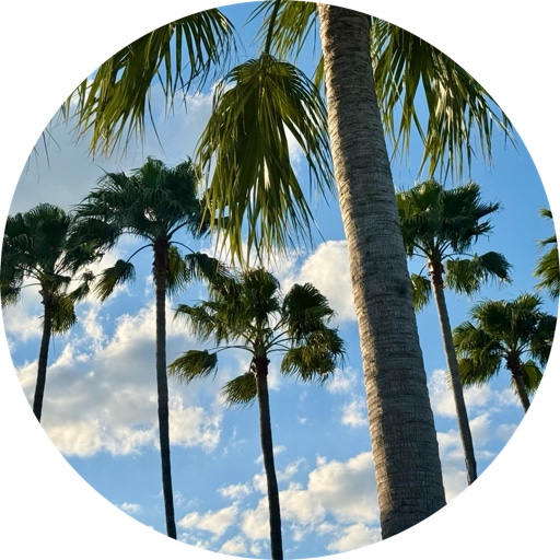 TL|Keep_Going on LTK