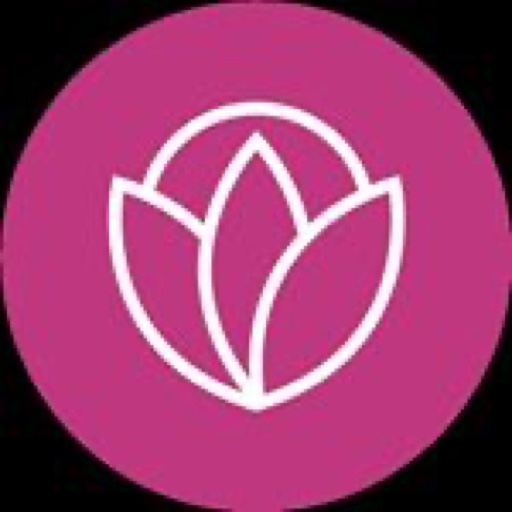 citymomcollective on LTK