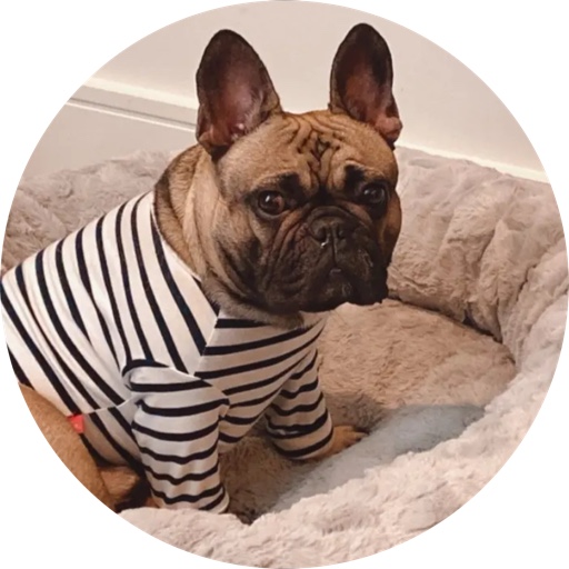 notactuallygolden on LTK