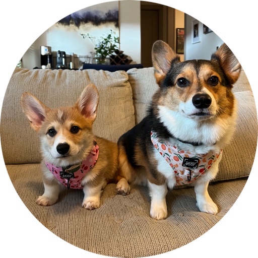 CeeDee_the_Corgi on LTK