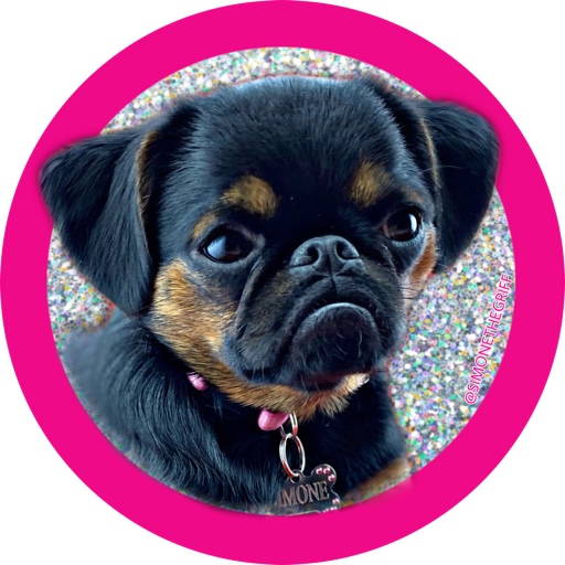 simonethegriff on LTK