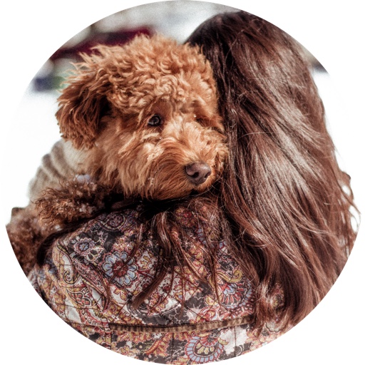 amotherofdoodles on LTK