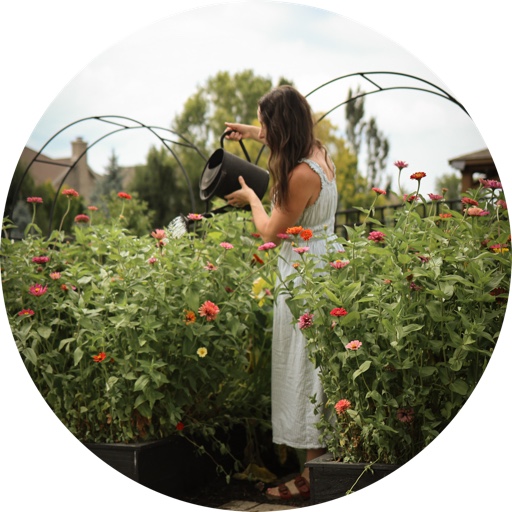 AshleyLynHome on LTK