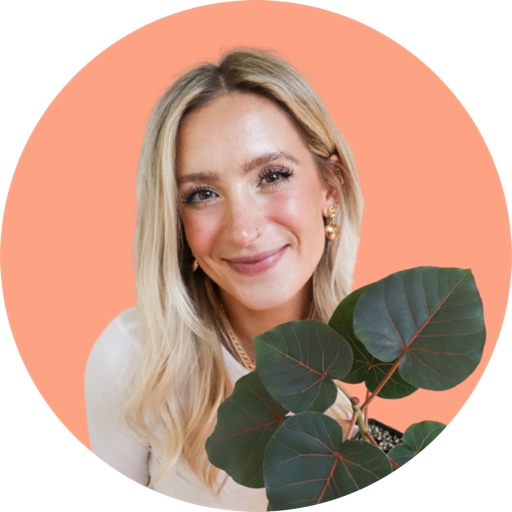 houseplusplant on LTK