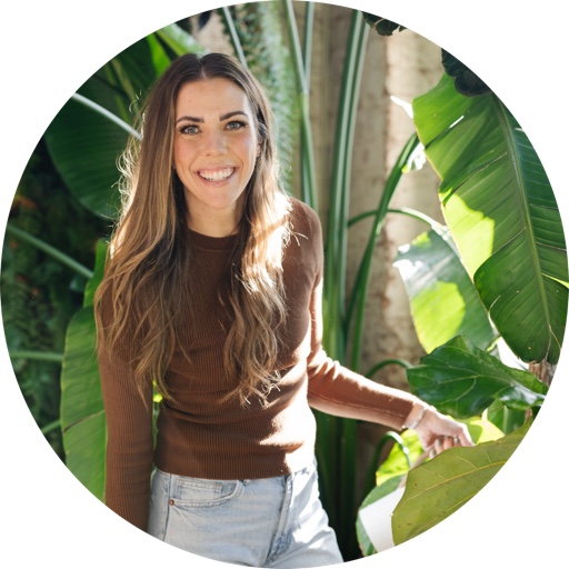 Happyhappyhouseplant on LTK