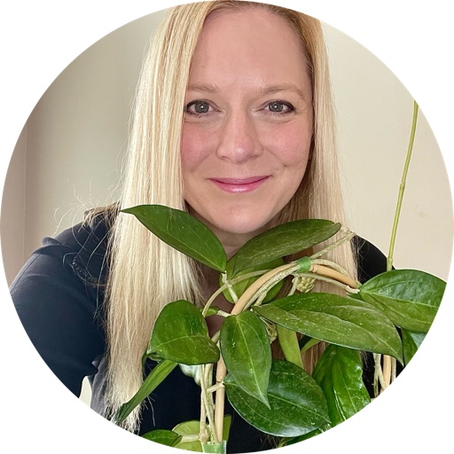 HoyaAppreciation on LTK