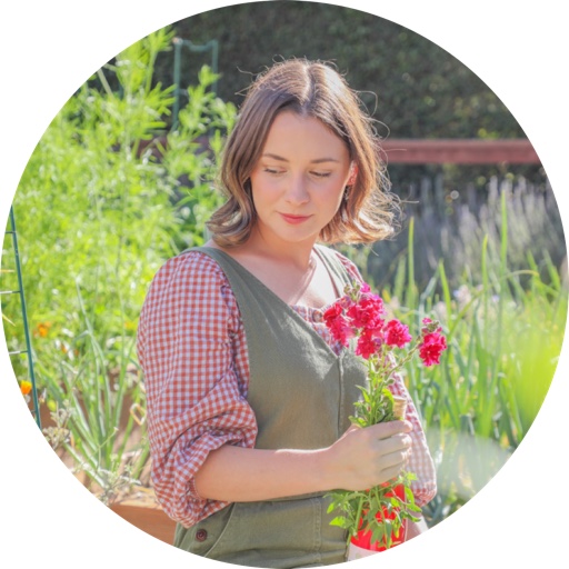 CarmenintheGarden on LTK