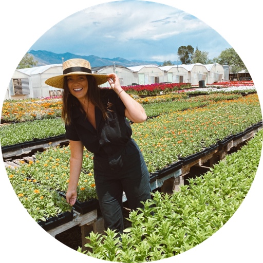 perryhutchisonn on LTK