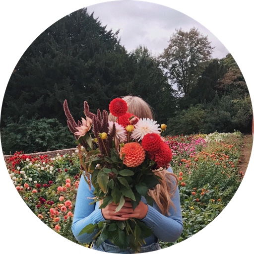 emilyjanelathan on LTK