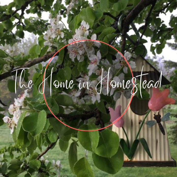 TheHomeinHomestead on LTK