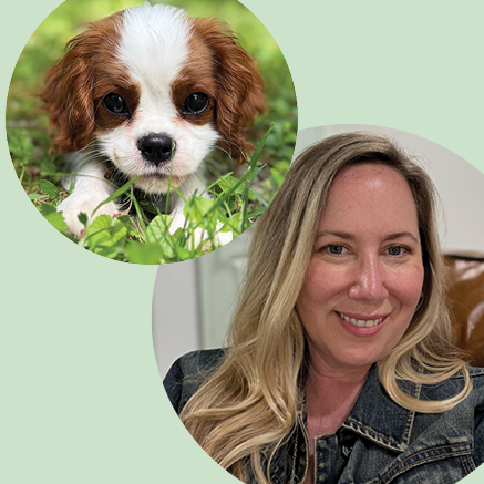 the_chic_dog_mom on LTK