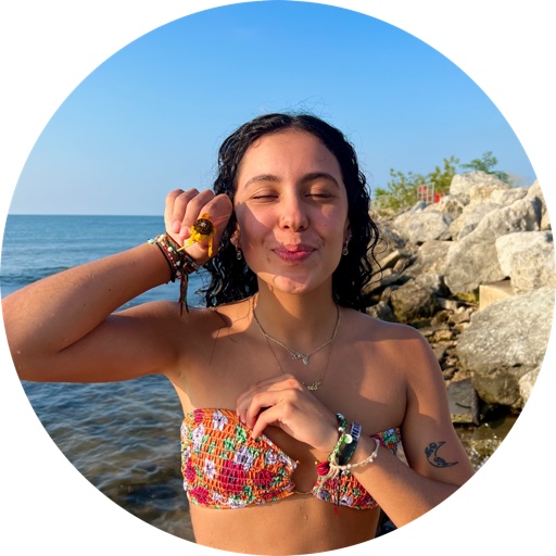 Lexi’s_LTK on LTK