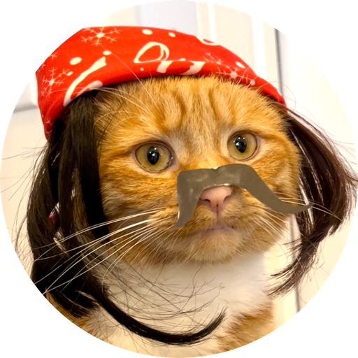 heyitsgingerandpepper on LTK