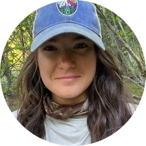 TheFrozenNuggett on LTK