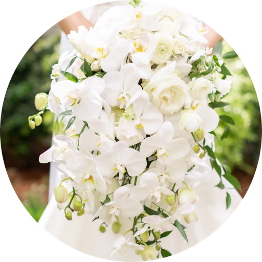 SouthernPosies on LTK